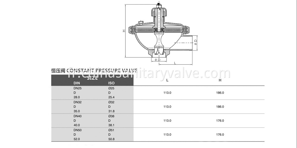 Constant pressure valve